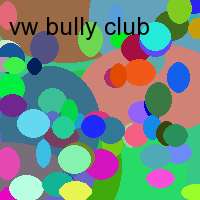 vw bully club