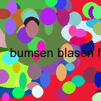 bumsen blasen ficken